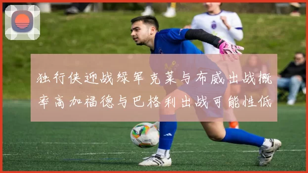 独行侠迎战绿军克莱与布威出战概率高加福德与巴格利出战可能性低